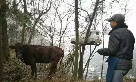 云南镇雄49岁男子为圆儿时“树屋”梦，将面包车挂到5米高树上！