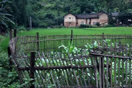 农村自建房院子篱笆怎么制作，种什么植物好？