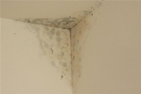 自建房房内潮湿会有什么影响？如何防潮除湿？