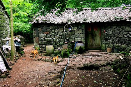 祖屋后面坟地被挖