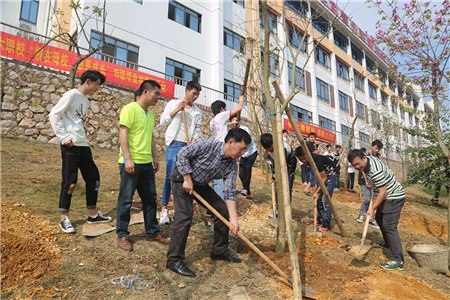 大门口种树