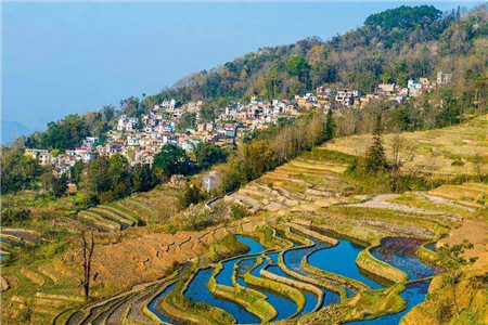 农村宅基地建房审批流程