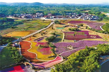 对标全面建成小康社会加快补上农村基础设施和公共服务短板