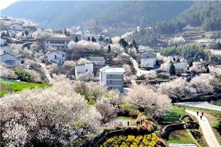 2020农村宅基地新政策