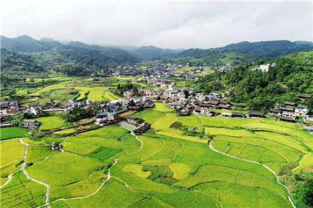 农村土地最新消息