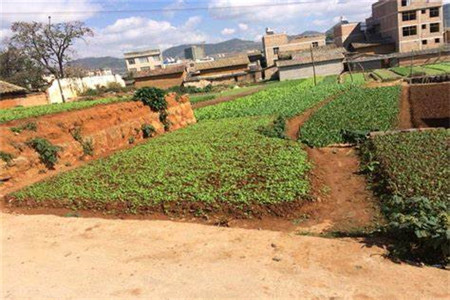 土地复耕的范围