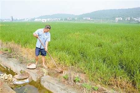 2020年农村土地改革新政策