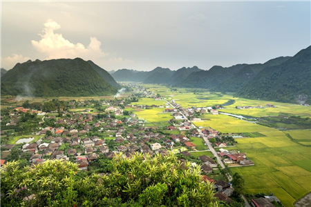 宅基地