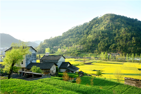 农村自建房