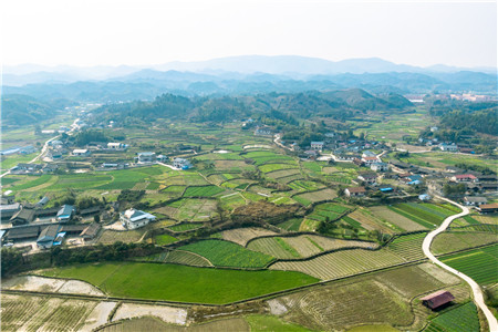 农村宅基地