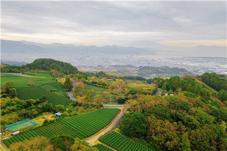 农村土地确权纠纷怎么处理