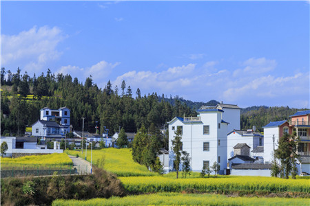 宅基地确权新政策有哪些