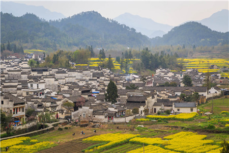 什么是土地确权