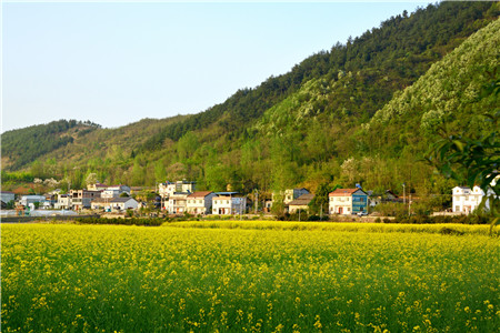 农村土地如何继承