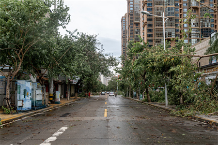 台风过后的街道